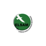 Elsam (1)